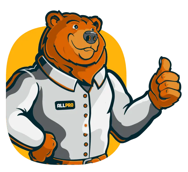 All Pro - Bear